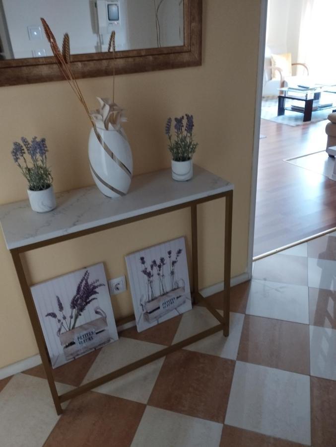 Alameda Residence 托马尔 外观 照片